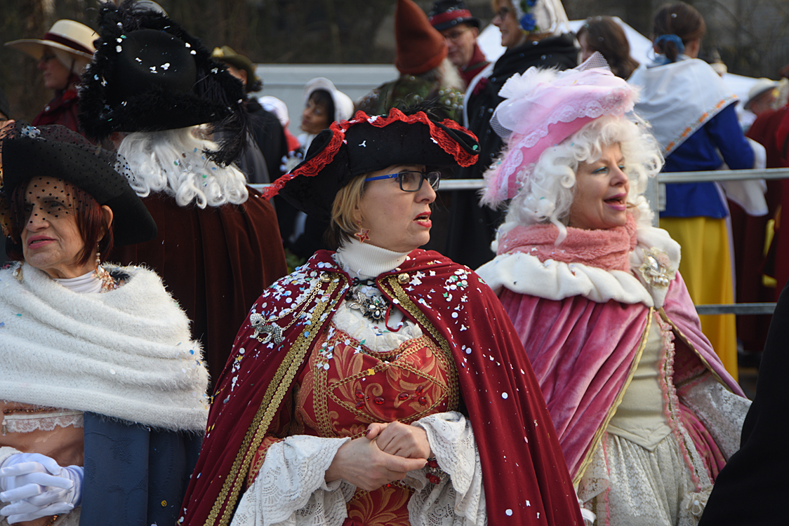 Sfilata carri Carnevale di Torino_223.jpg